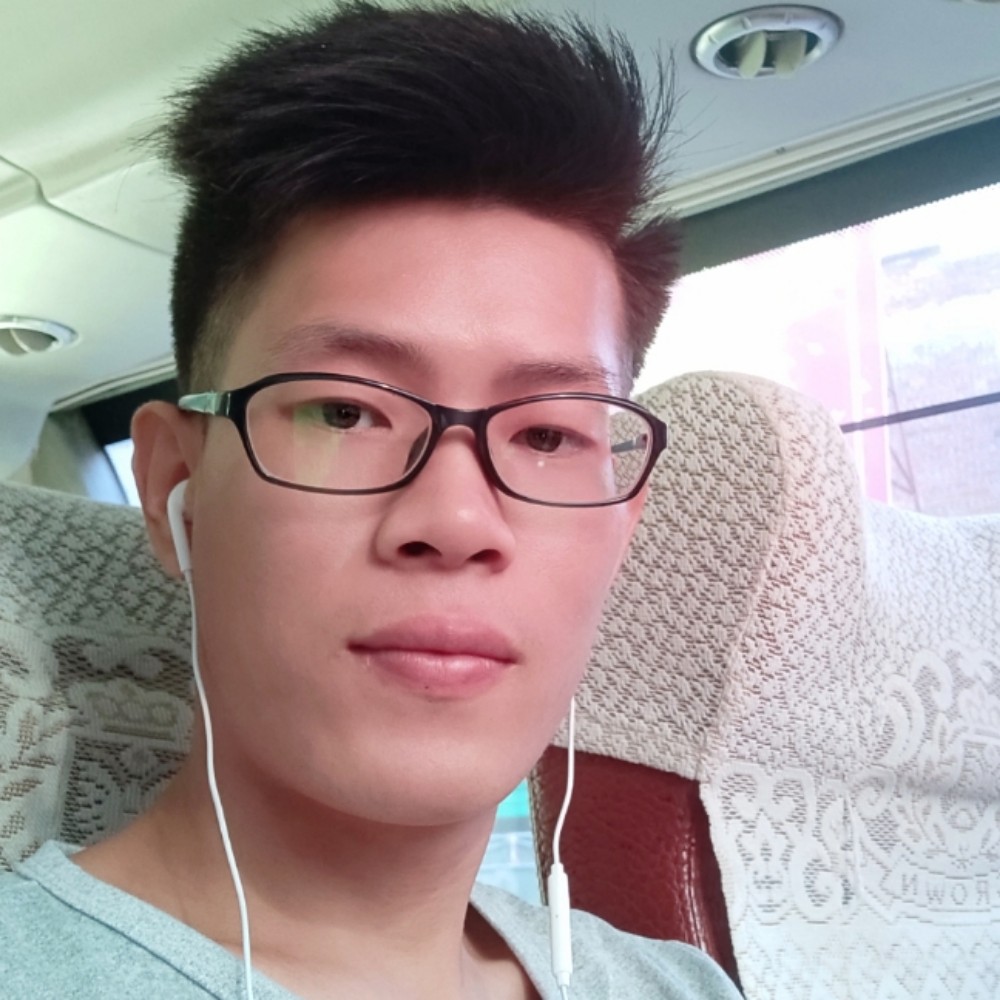 大雁倾心内向的照片
