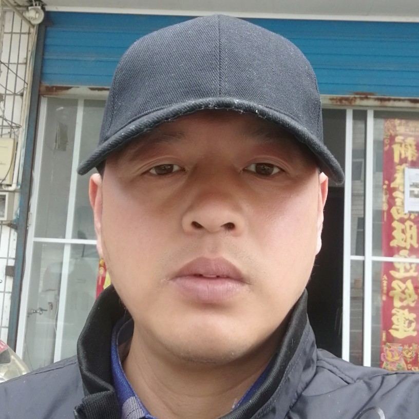 勤劳的牛的照片