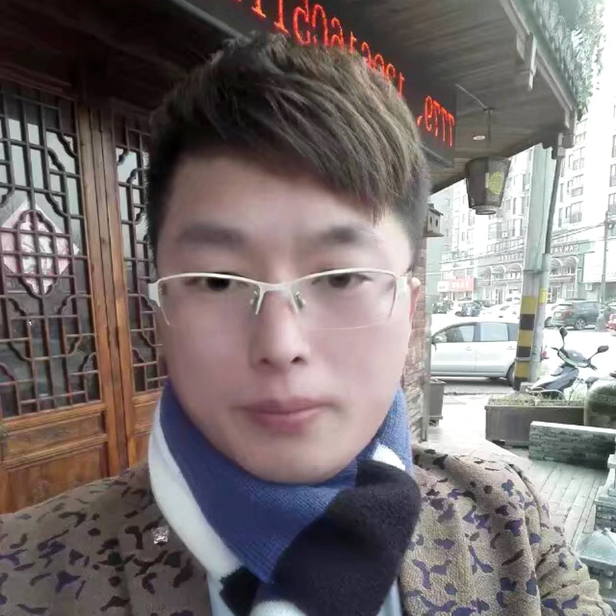 雪地里的大灰狼的照片