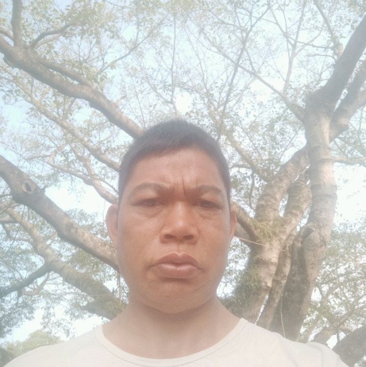 愤怒蹁跹流沙的照片