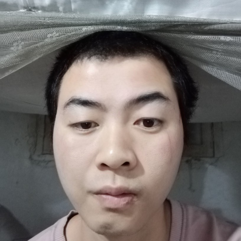 腼腆的小懒虫的照片