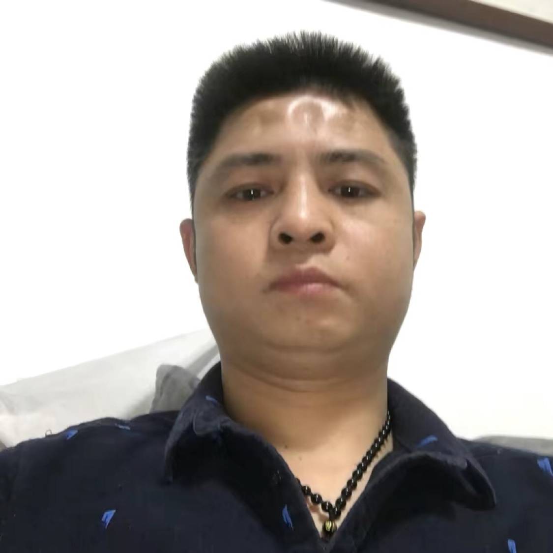 哈密瓜等于冷静的照片