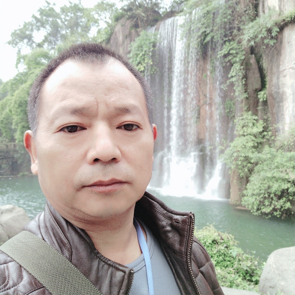 聪慧等待小刺猬的照片