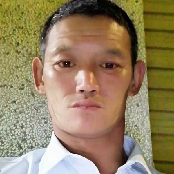 闪闪演变枫叶的照片