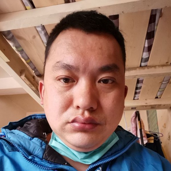 鹤舞飞沙的照片