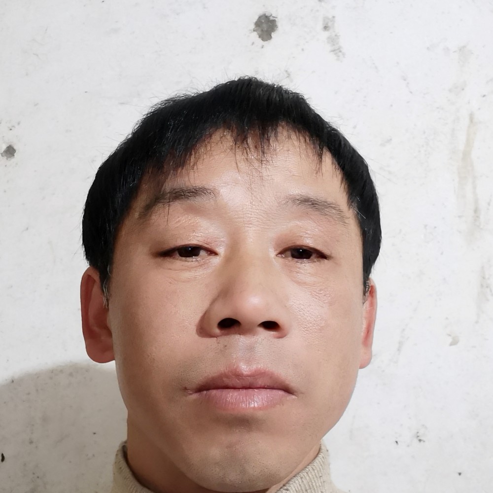 一狼七次狼的照片