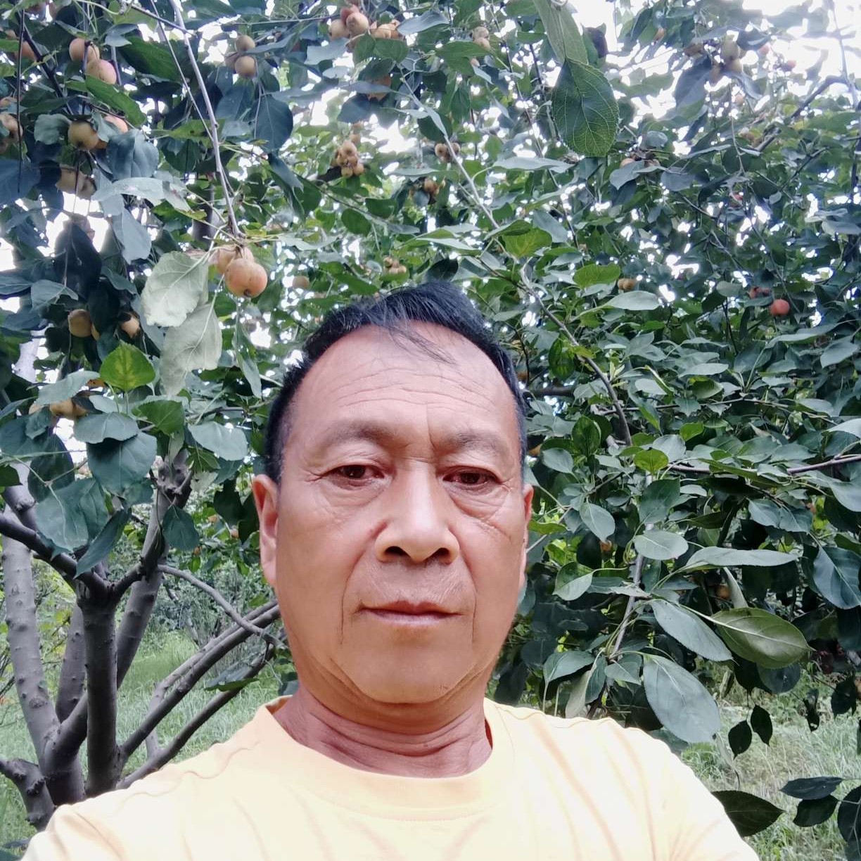 会员895861644的照片