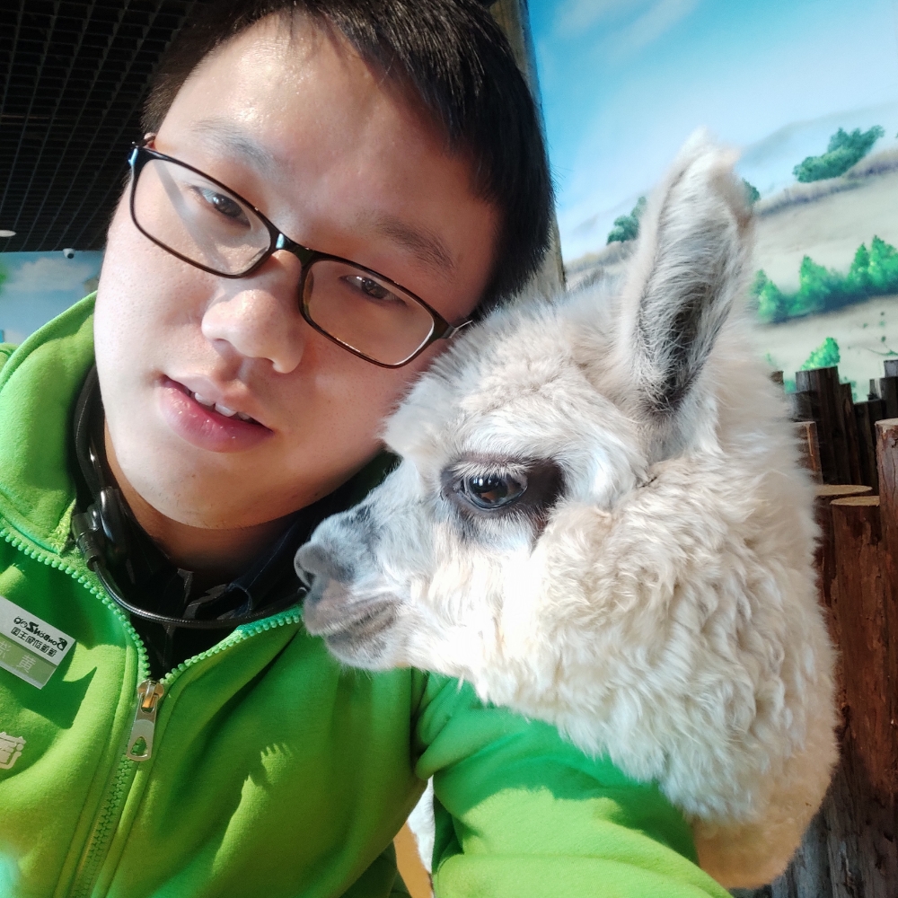 轻松拾忆树叶的照片