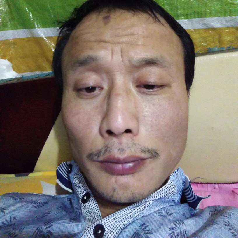 猎豹洁净的照片