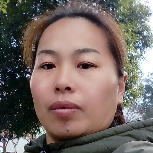 香樟园的照片