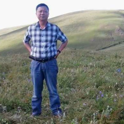中心的壮观的照片