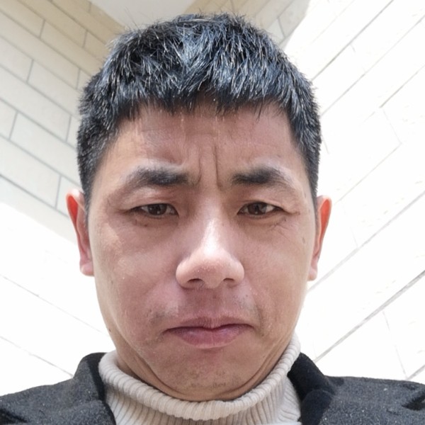 舒荷自由的照片