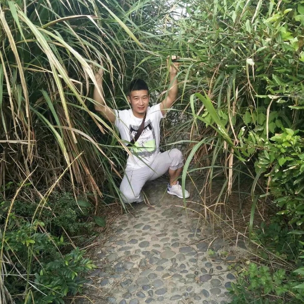 上海滩之恋的照片