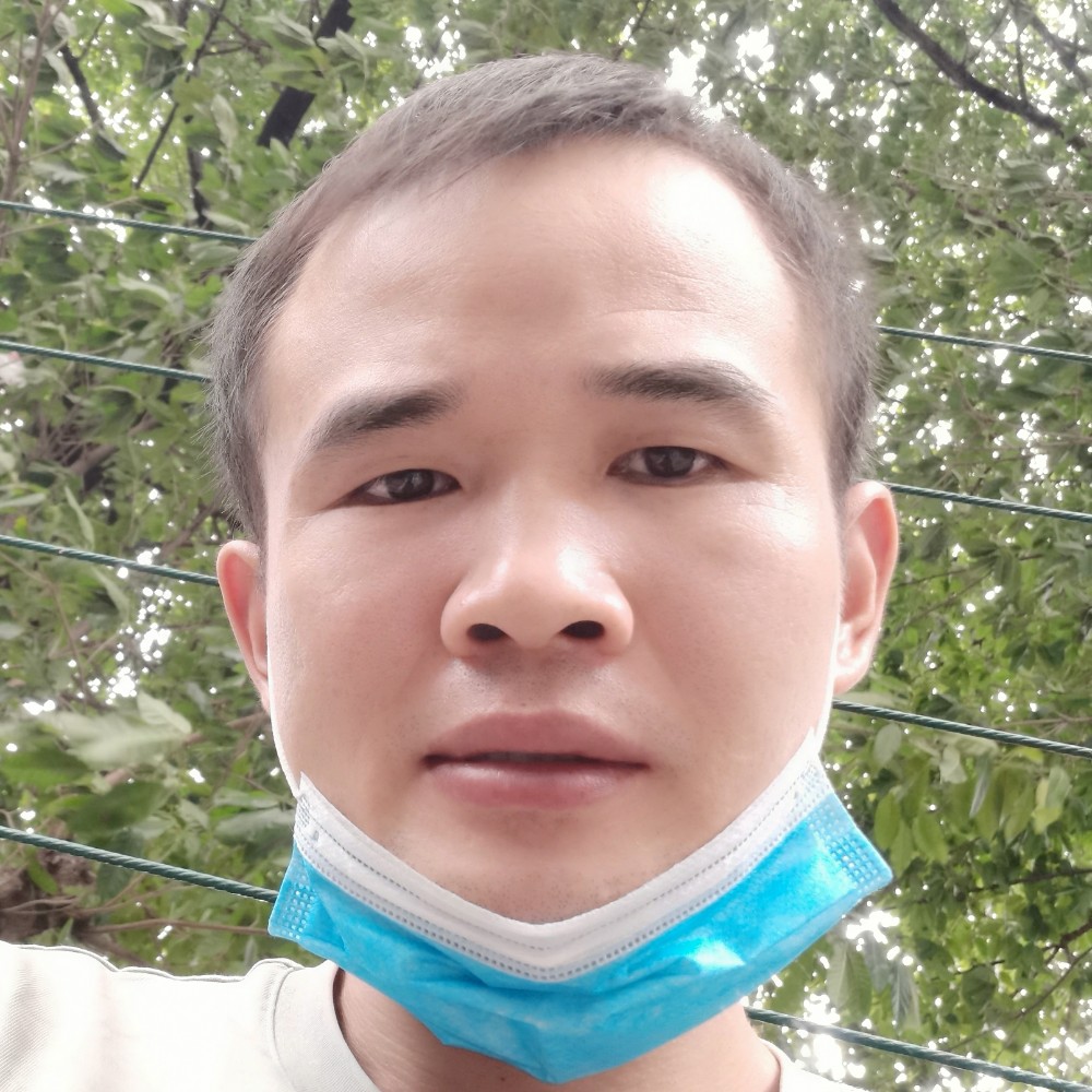 西瓜的照片