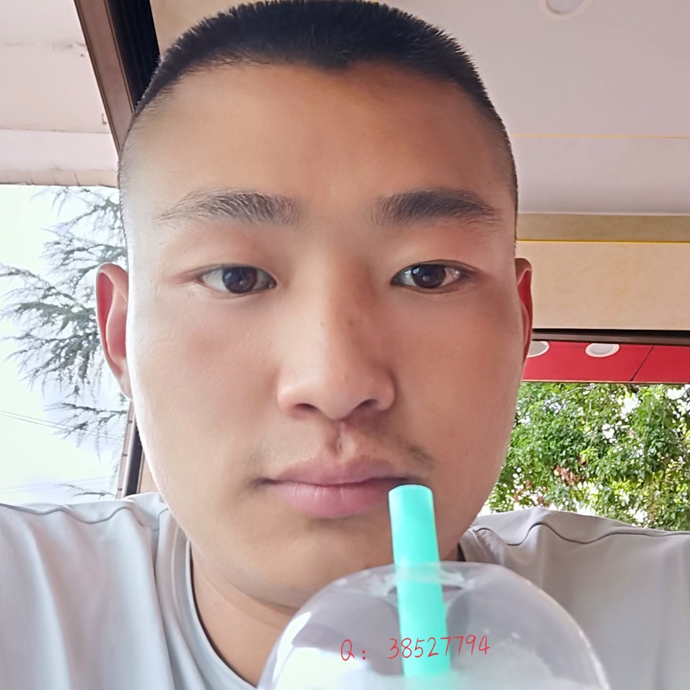 爱下厨的猫的照片