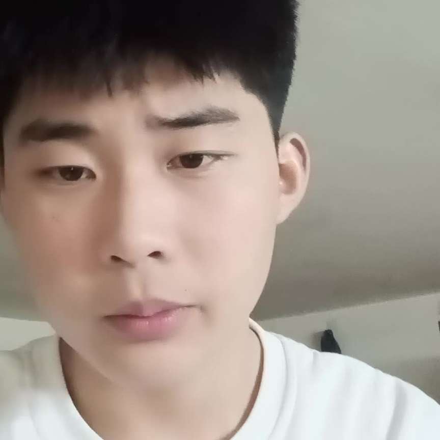 舒适放弃泥猴桃的照片