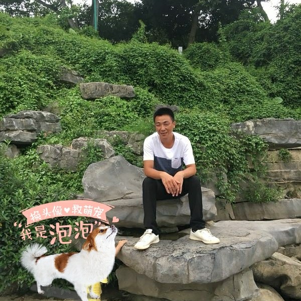 星星不听话的的照片