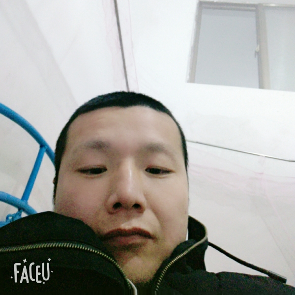 小松鼠说朴实的照片