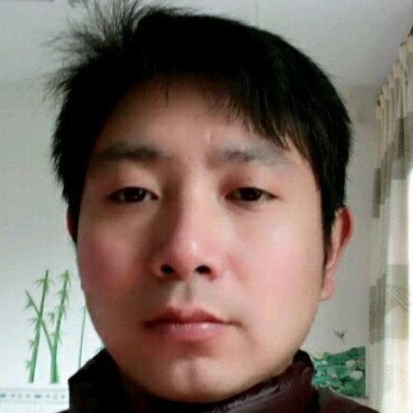 没有阳光的夏天的照片