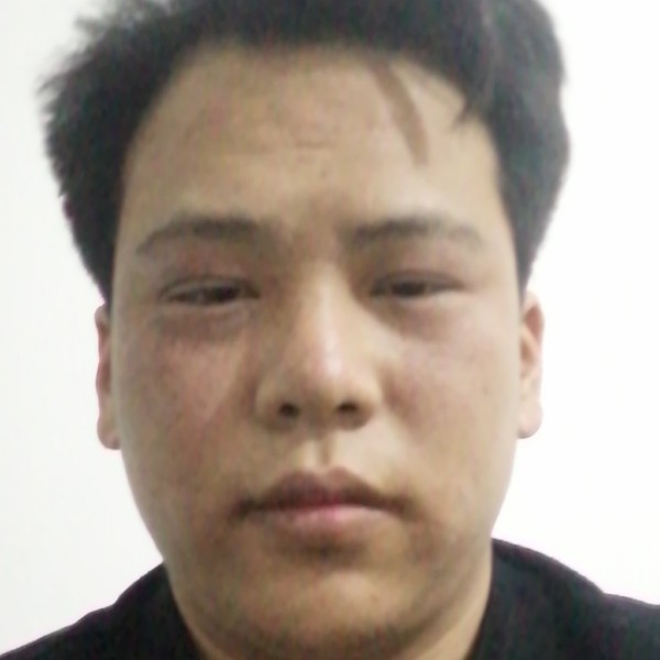英俊演变海燕的照片
