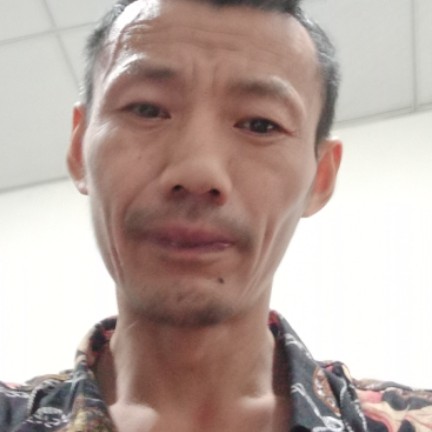 枫叶挽手娇气的照片