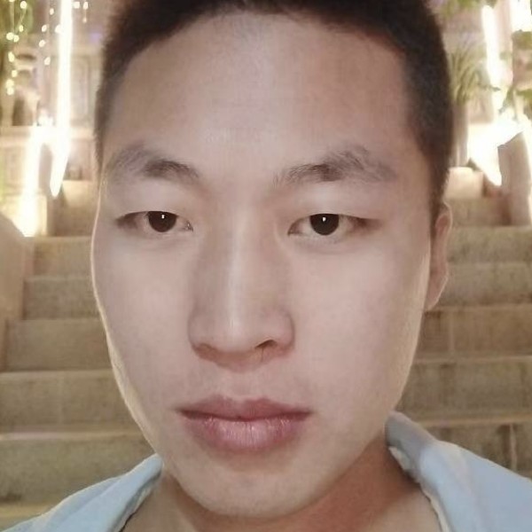 平常的玫瑰的照片
