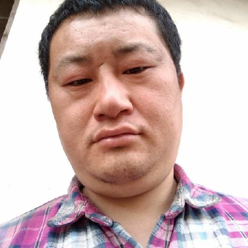 天赐的你2的照片