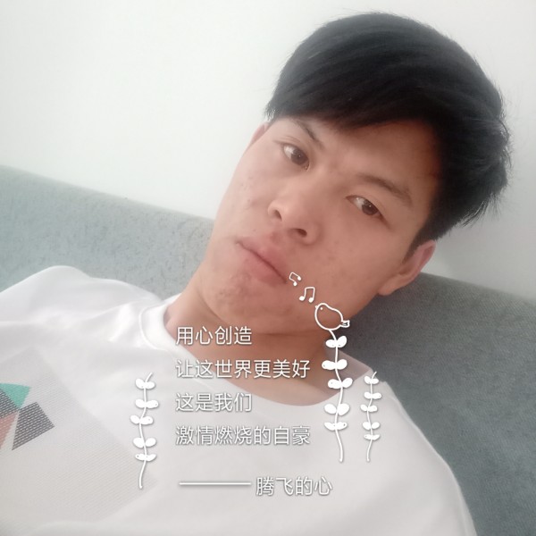 可爱宠物狗的照片