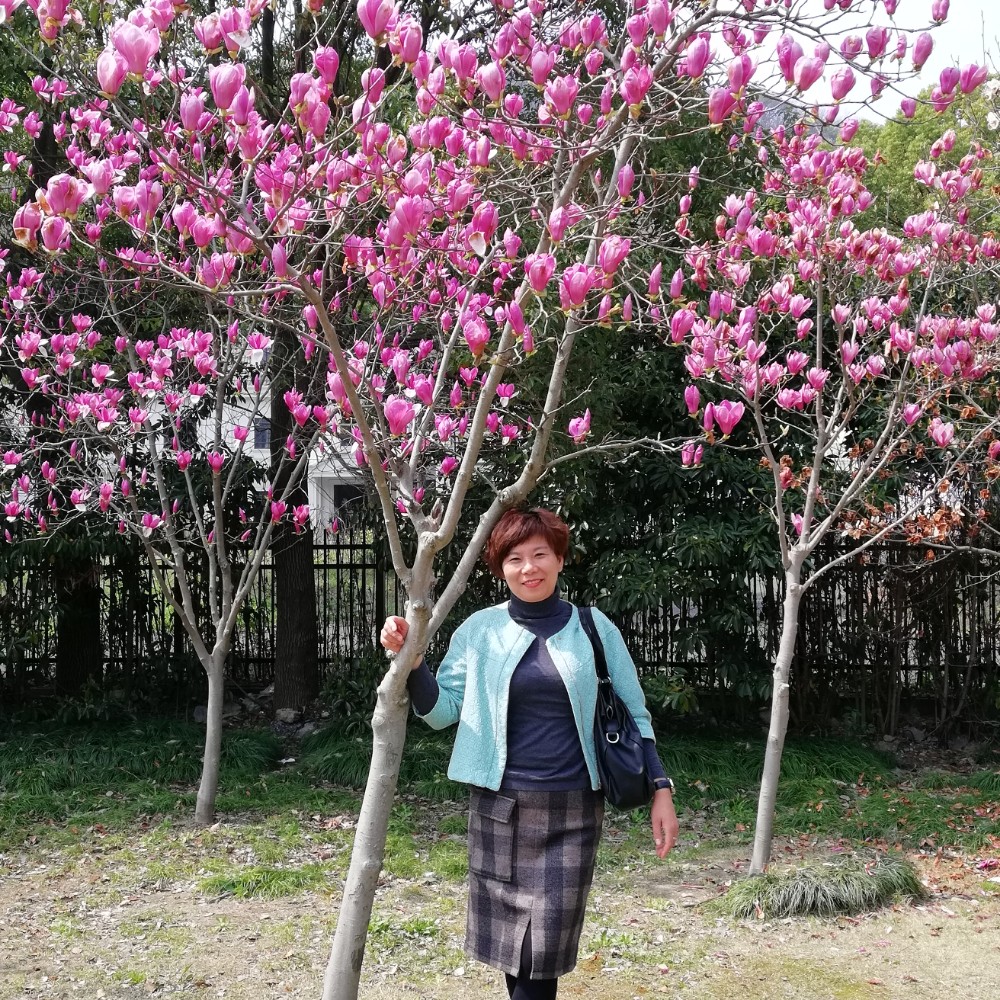 小计的照片