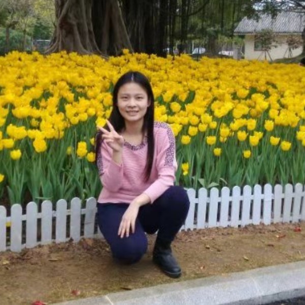 香蕉猫咪的照片