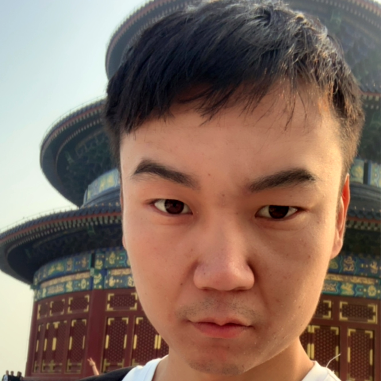 变异的哈士奇的照片