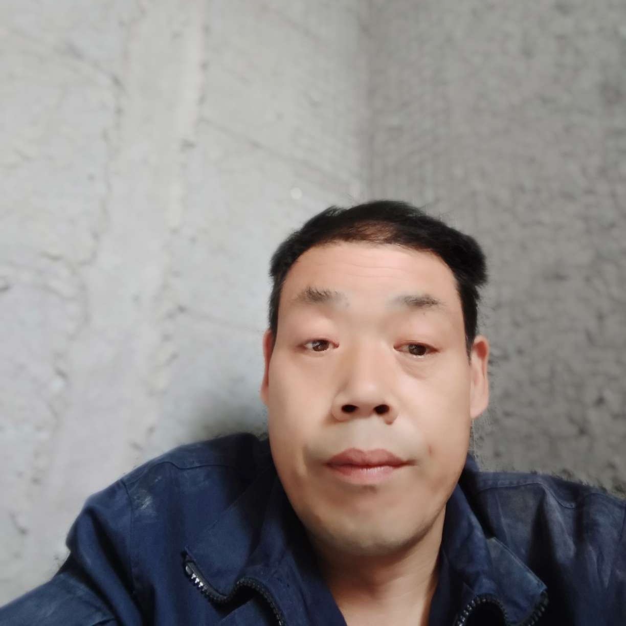 无聊的狗的照片