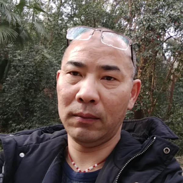 南鸢拉长的照片