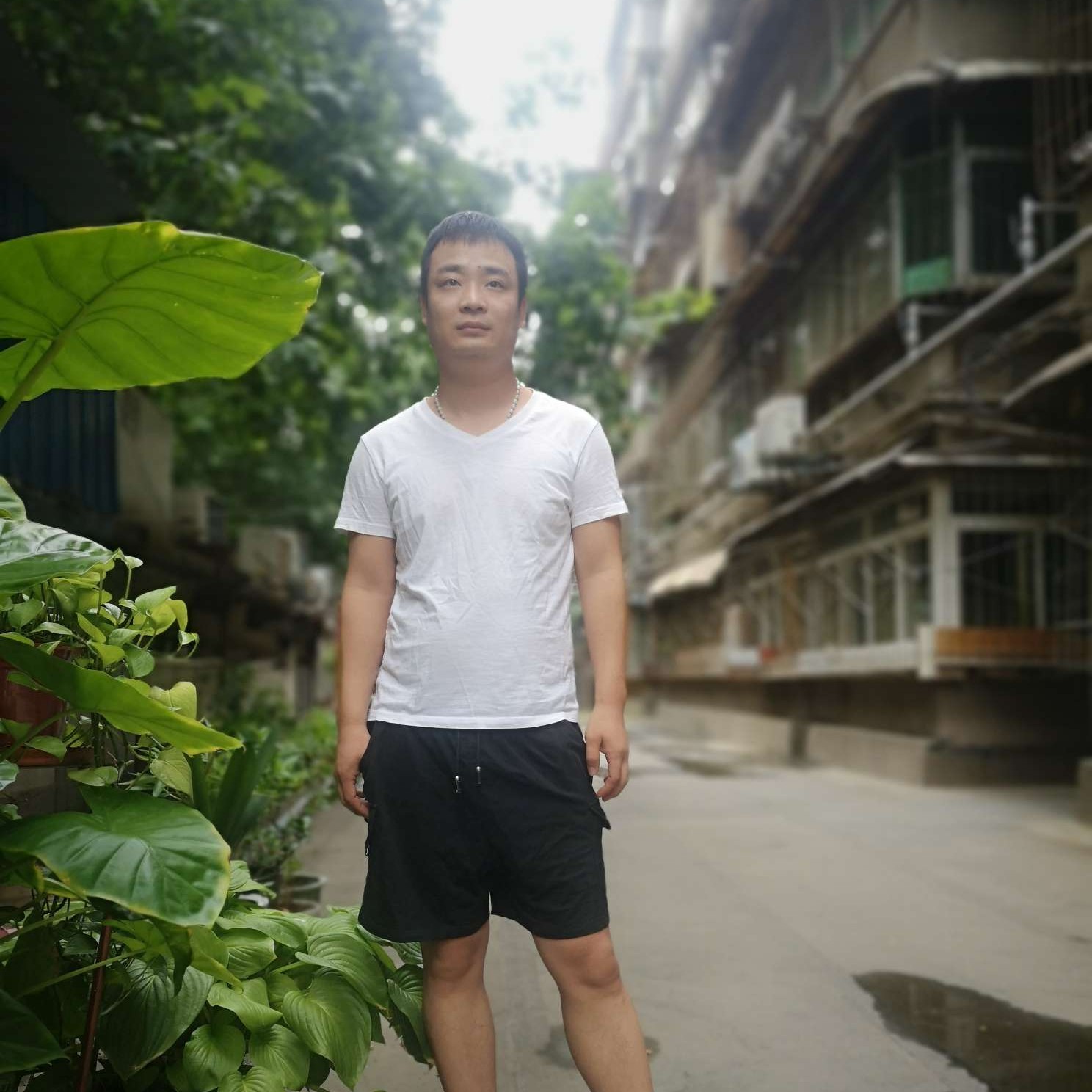 深情扯夏露的照片