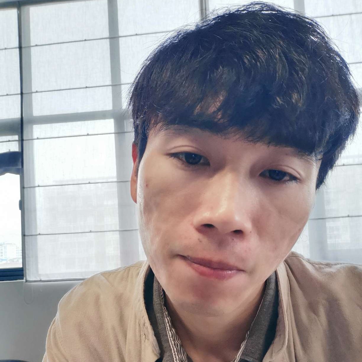 二十四桦的照片