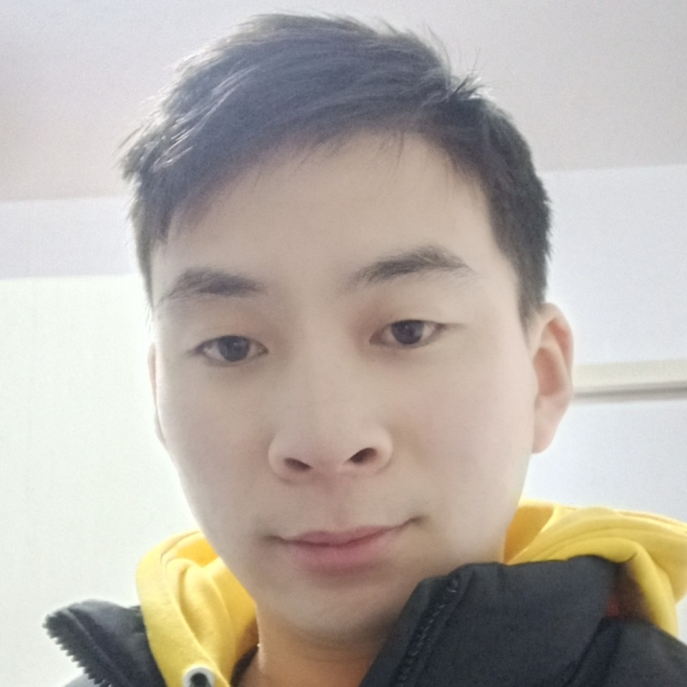 蚂蚁独特的照片