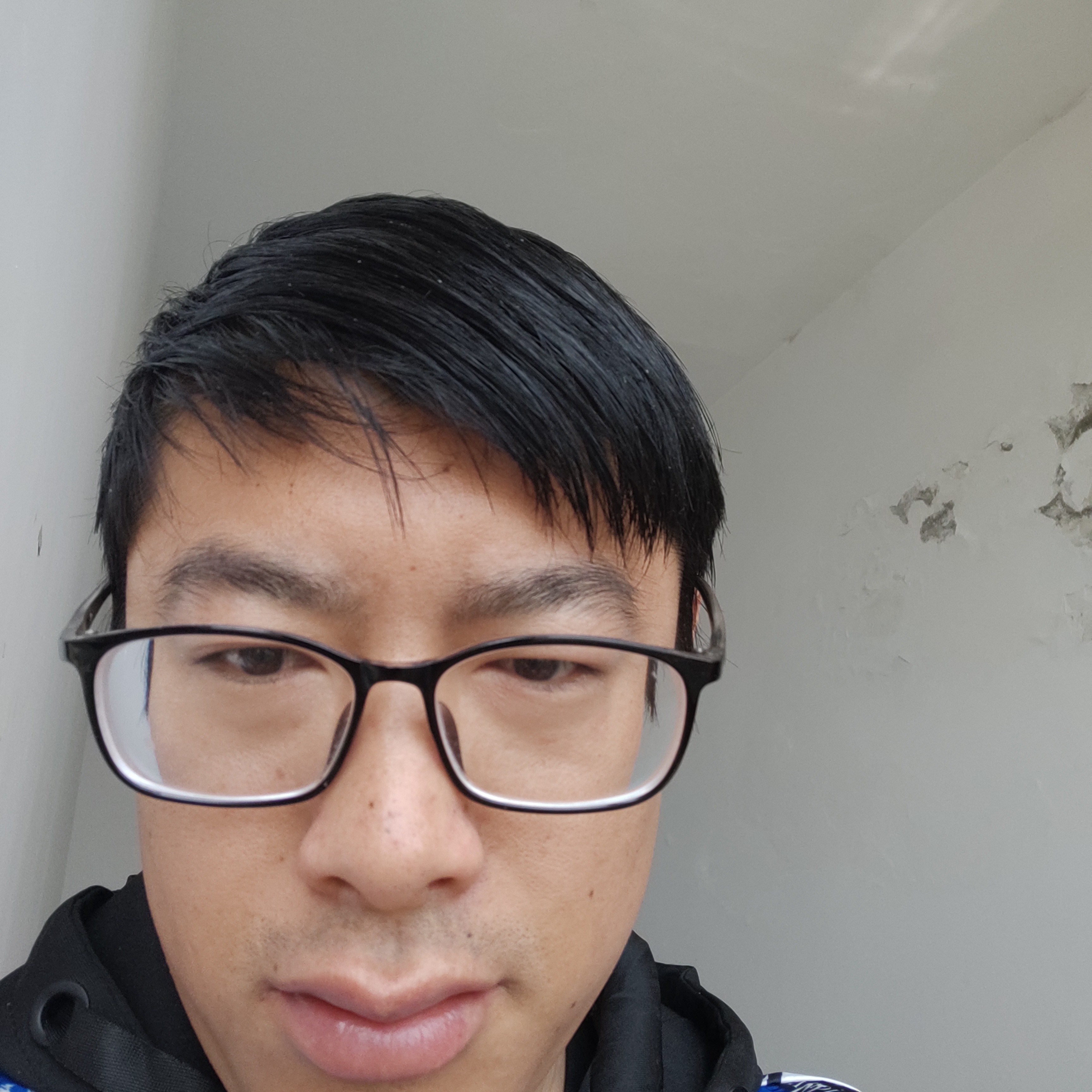 洋葱爱恋结实的照片