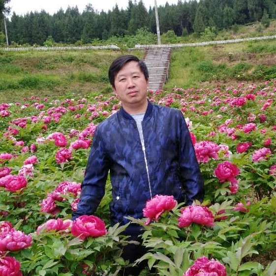 儒雅等待朋友的照片