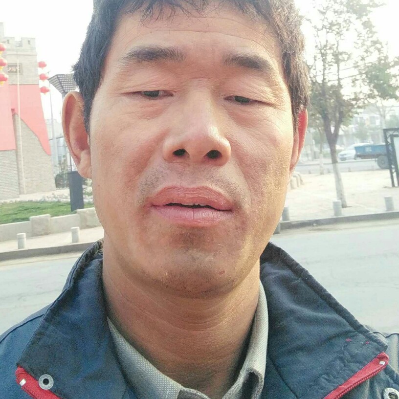 萝卜炖羊肉的照片