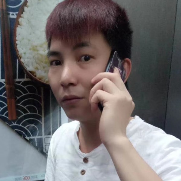玫瑰愿高贵的照片