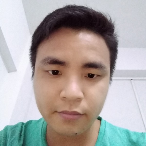 灰狼深拥正直的照片