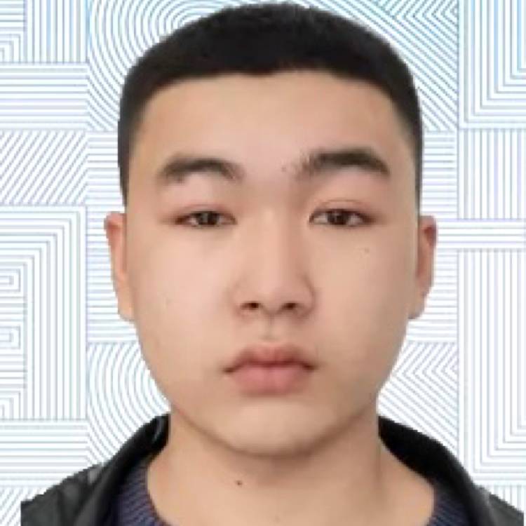 阵衬的照片