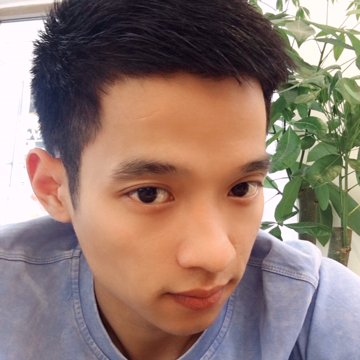 灰狼&眯眯眼的照片