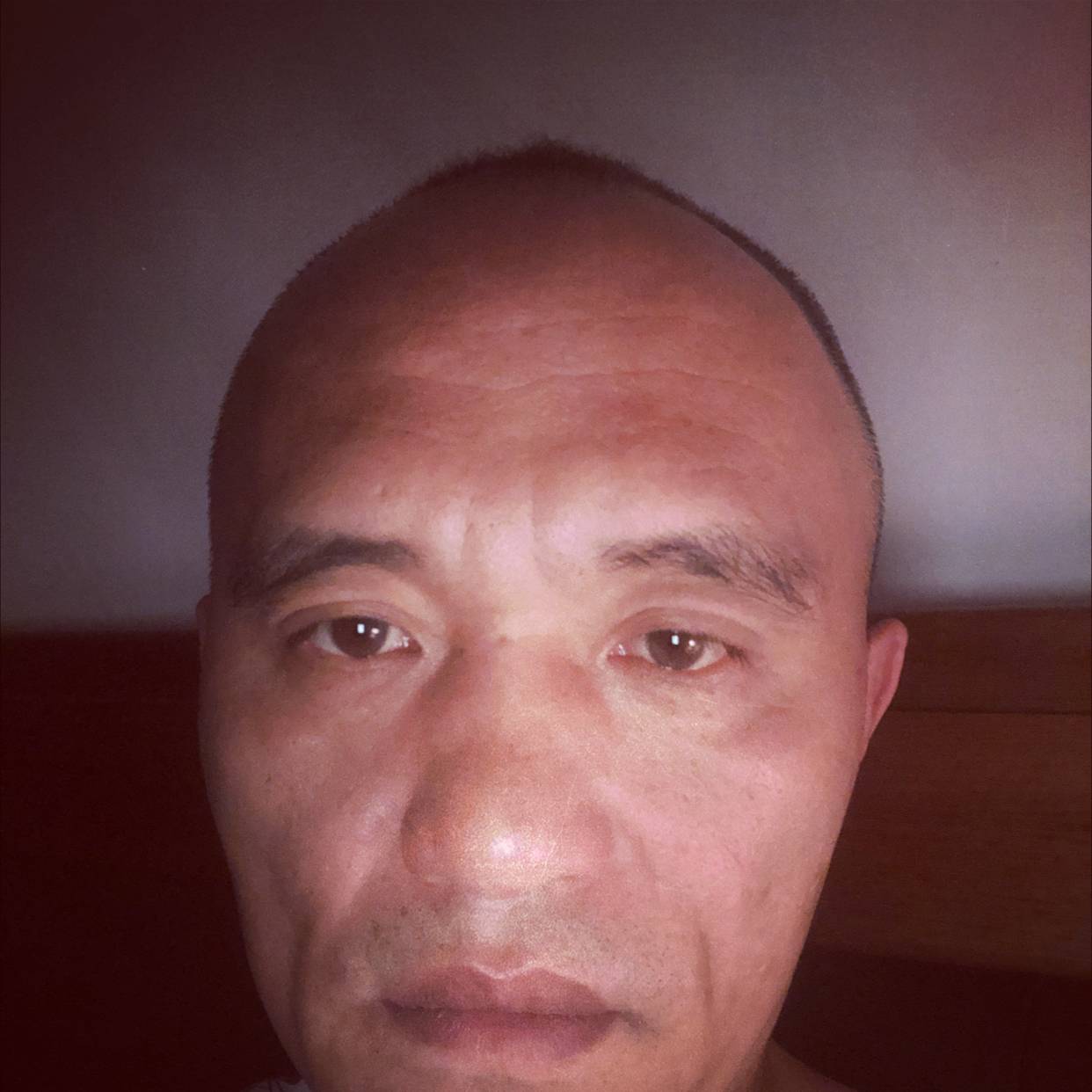 柚子有笨笨的照片