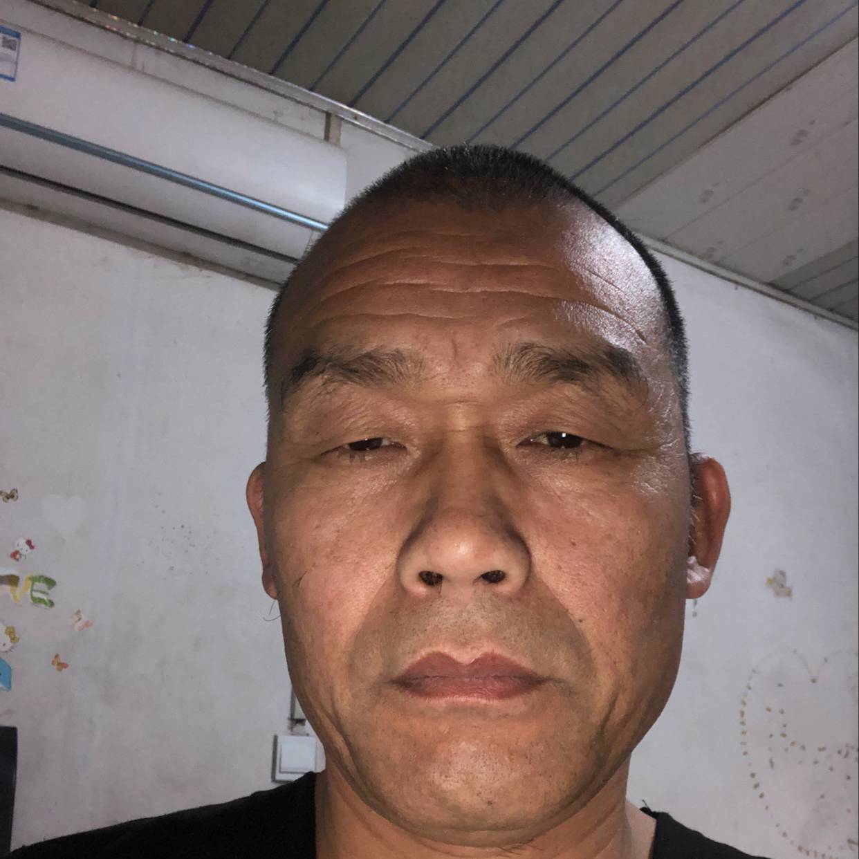 就是牛的照片