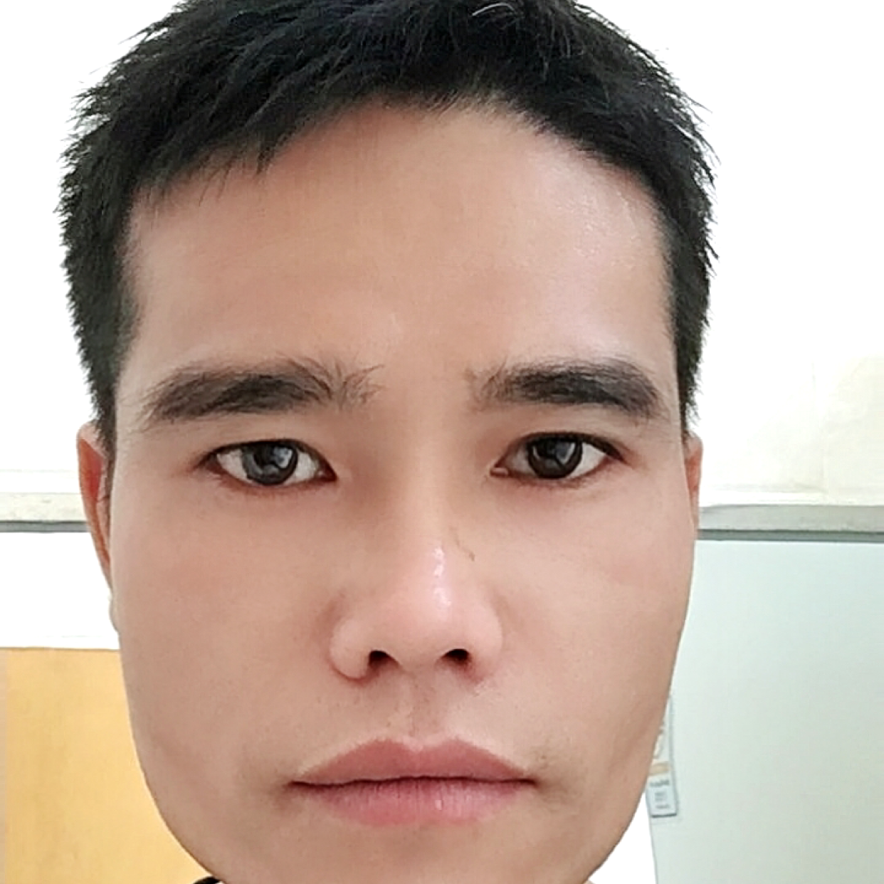 白羊多么糟糕的照片