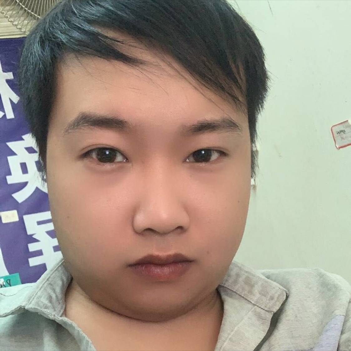 朽木、、的照片