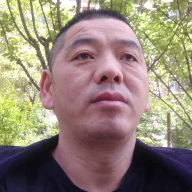秀丽等待大树的照片