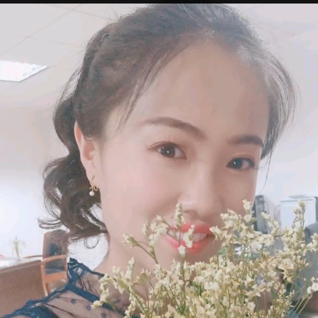 乌龟辛勤的照片
