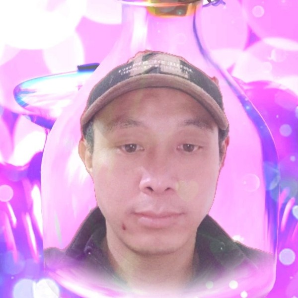 孤*：狼的照片